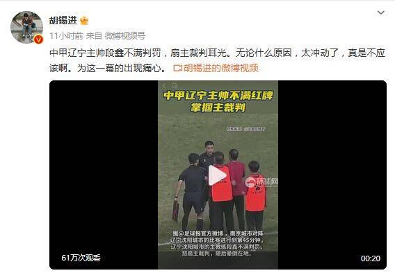 国内成人精品视频