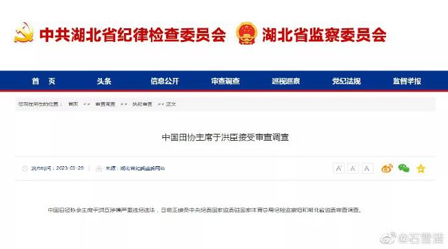 职业助手