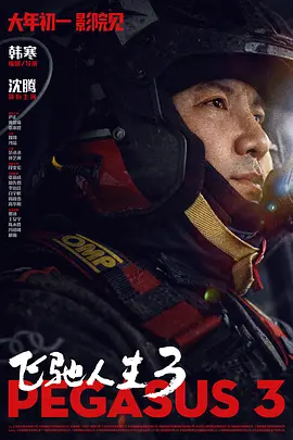 91国内精品久久久久怡红院