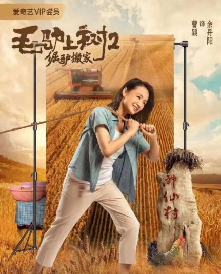 姐姐爱情动作