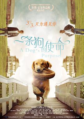 亚洲午夜精品久久久久久抢