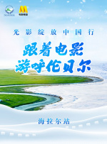 91网站最新地址