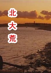 午夜精品视频在线看