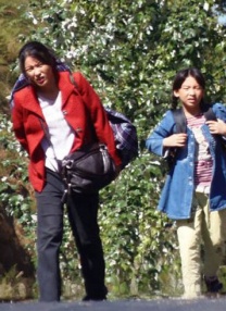 美国十次吧