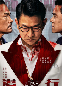 丰富的女性时代