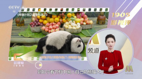 亚洲精品资源在线